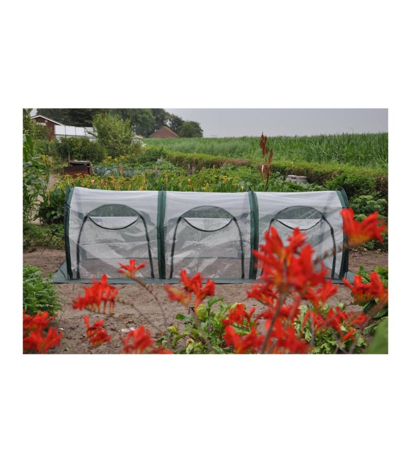 Sweet Rocket tunnelkas